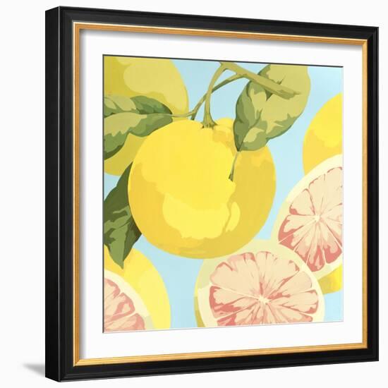 Fresh Grapefruits-Martha Negley-Framed Premium Giclee Print