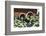 Fresh Grapes at Harvest Festival.-Terry Eggers-Framed Photographic Print