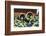 Fresh Grapes at Harvest Festival.-Terry Eggers-Framed Photographic Print