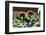 Fresh Grapes at Harvest Festival.-Terry Eggers-Framed Photographic Print