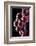Fresh Grapes with Drops-Gresei-Framed Photographic Print