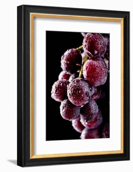 Fresh Grapes with Drops-Gresei-Framed Photographic Print