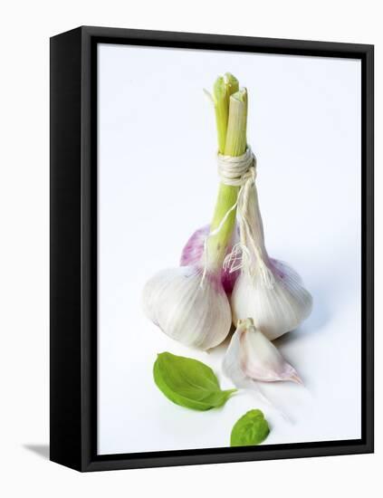 Fresh Green Garlic-Ira Leoni-Framed Premier Image Canvas