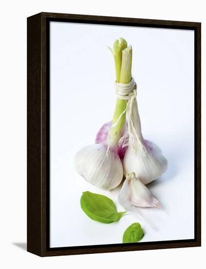 Fresh Green Garlic-Ira Leoni-Framed Premier Image Canvas