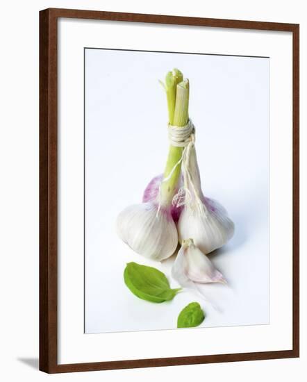 Fresh Green Garlic-Ira Leoni-Framed Photographic Print