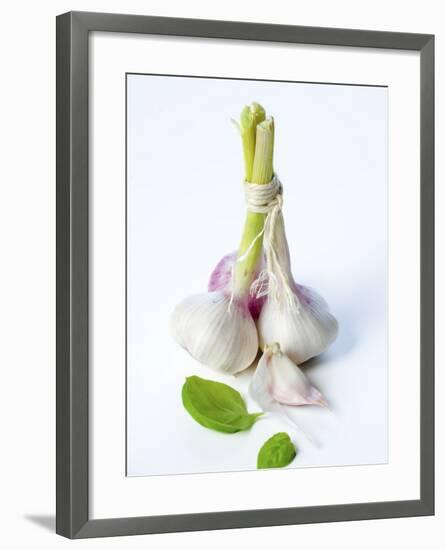 Fresh Green Garlic-Ira Leoni-Framed Photographic Print