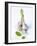 Fresh Green Garlic-Ira Leoni-Framed Photographic Print