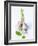 Fresh Green Garlic-Ira Leoni-Framed Photographic Print