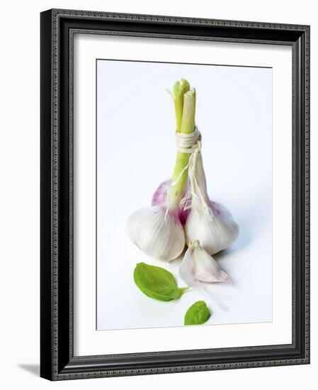 Fresh Green Garlic-Ira Leoni-Framed Photographic Print