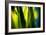 Fresh Green Spring Grass-Daniil Belyay-Framed Photographic Print