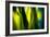 Fresh Green Spring Grass-Daniil Belyay-Framed Photographic Print