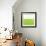 Fresh Green-Don Bishop-Framed Art Print displayed on a wall