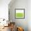 Fresh Green-Don Bishop-Framed Art Print displayed on a wall