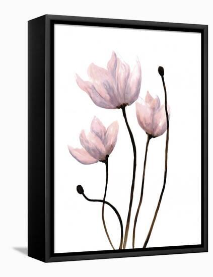 Fresh Growth 1-Doris Charest-Framed Stretched Canvas