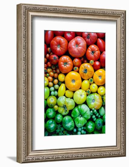 Fresh Heirloom Tomatoes Background, Organic Produce at a Farmer's Market. Tomatoes Rainbow.-Letterberry-Framed Photographic Print