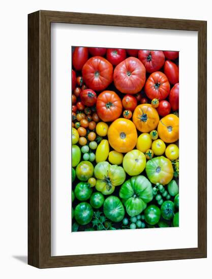 Fresh Heirloom Tomatoes Background, Organic Produce at a Farmer's Market. Tomatoes Rainbow.-Letterberry-Framed Photographic Print