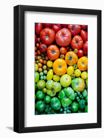 Fresh Heirloom Tomatoes Background, Organic Produce at a Farmer's Market. Tomatoes Rainbow.-Letterberry-Framed Photographic Print