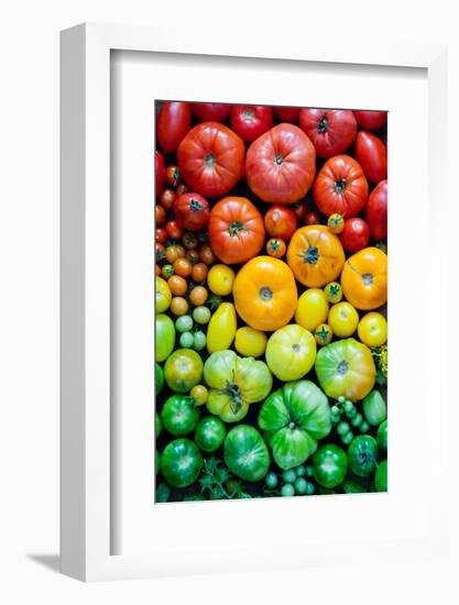 Fresh Heirloom Tomatoes Background, Organic Produce at a Farmer's Market. Tomatoes Rainbow.-Letterberry-Framed Photographic Print