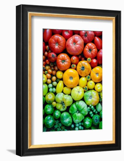 Fresh Heirloom Tomatoes Background, Organic Produce at a Farmer's Market. Tomatoes Rainbow.-Letterberry-Framed Photographic Print