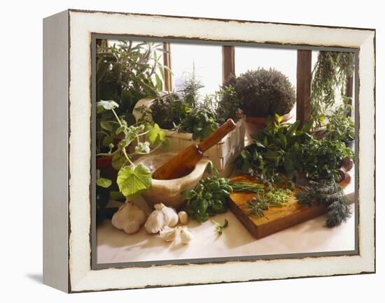 Fresh Herb Still Life-Eising Studio - Food Photo and Video-Framed Premier Image Canvas