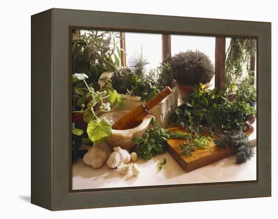 Fresh Herb Still Life-Eising Studio - Food Photo and Video-Framed Premier Image Canvas