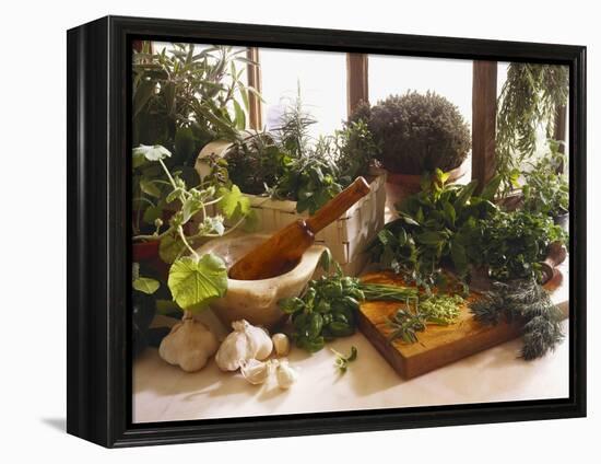 Fresh Herb Still Life-Eising Studio - Food Photo and Video-Framed Premier Image Canvas