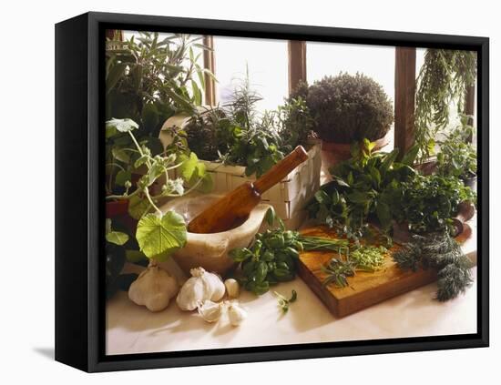 Fresh Herb Still Life-Eising Studio - Food Photo and Video-Framed Premier Image Canvas