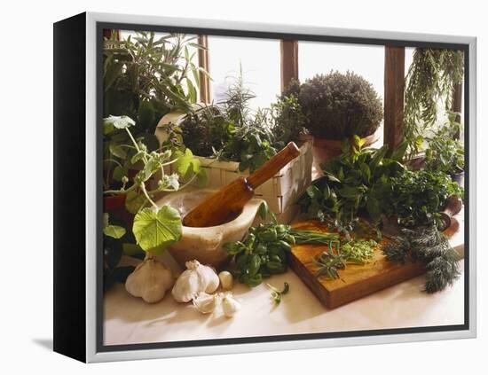 Fresh Herb Still Life-Eising Studio - Food Photo and Video-Framed Premier Image Canvas
