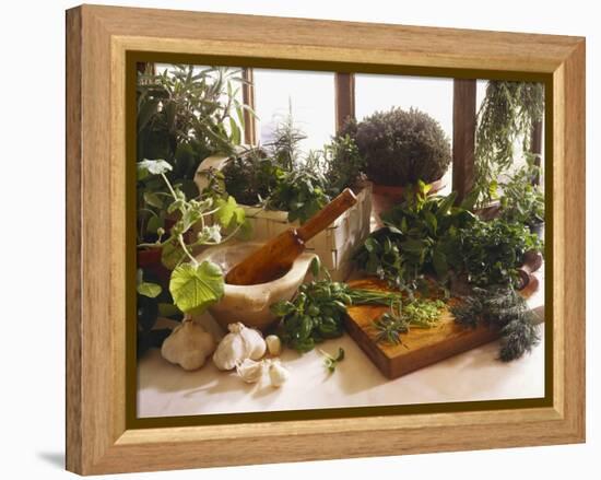 Fresh Herb Still Life-Eising Studio - Food Photo and Video-Framed Premier Image Canvas