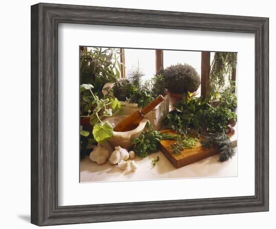 Fresh Herb Still Life-Eising Studio - Food Photo and Video-Framed Photographic Print
