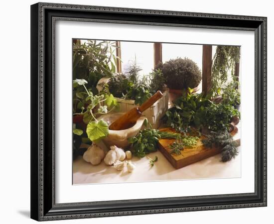 Fresh Herb Still Life-Eising Studio - Food Photo and Video-Framed Photographic Print