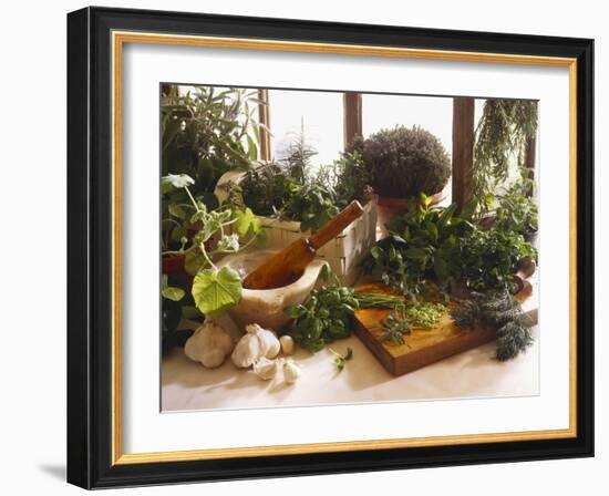 Fresh Herb Still Life-Eising Studio - Food Photo and Video-Framed Photographic Print