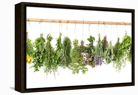 Fresh Herbs Hanging Isolated on White. Basil, Rosemary, Thyme, Mint-LiliGraphie-Framed Premier Image Canvas