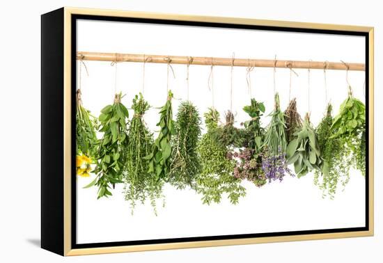 Fresh Herbs Hanging Isolated on White. Basil, Rosemary, Thyme, Mint-LiliGraphie-Framed Premier Image Canvas