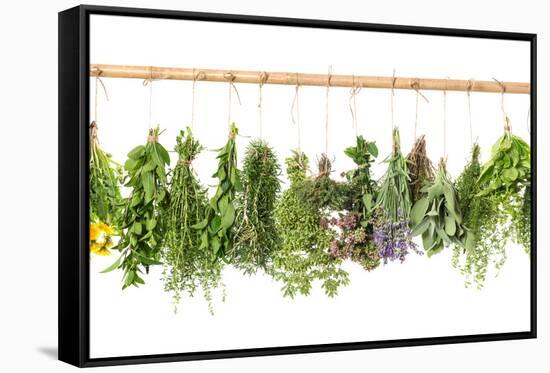 Fresh Herbs Hanging Isolated on White. Basil, Rosemary, Thyme, Mint-LiliGraphie-Framed Premier Image Canvas