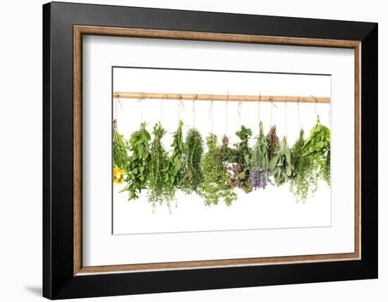 Fresh Herbs Hanging Isolated on White. Basil, Rosemary, Thyme, Mint-LiliGraphie-Framed Photographic Print