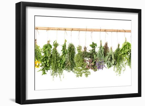 Fresh Herbs Hanging Isolated on White. Basil, Rosemary, Thyme, Mint-LiliGraphie-Framed Photographic Print