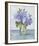 Fresh Hydrangea - Collect-Tania Bello-Framed Giclee Print