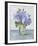 Fresh Hydrangea - Collect-Tania Bello-Framed Giclee Print