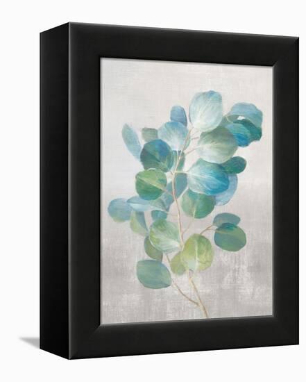 Fresh I Gray-Danhui Nai-Framed Stretched Canvas