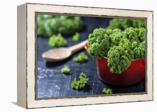 Fresh Kale in a Red Pot on a Dark Background-Jana Ihle-Framed Premier Image Canvas