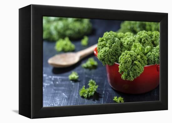 Fresh Kale in a Red Pot on a Dark Background-Jana Ihle-Framed Premier Image Canvas