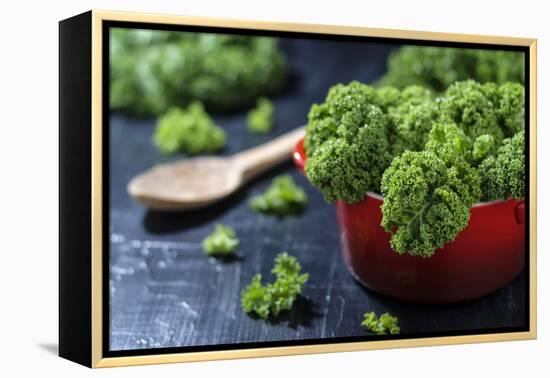 Fresh Kale in a Red Pot on a Dark Background-Jana Ihle-Framed Premier Image Canvas