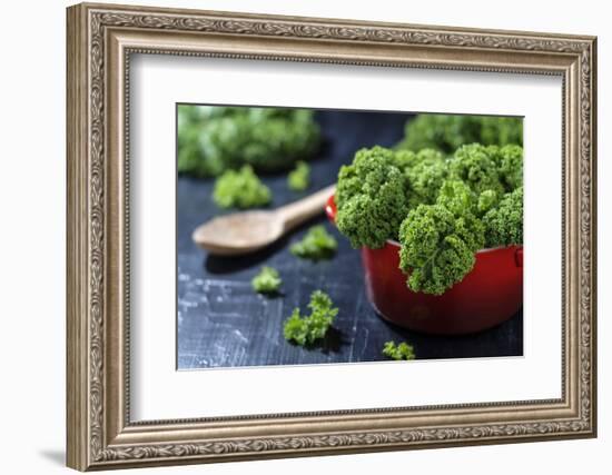 Fresh Kale in a Red Pot on a Dark Background-Jana Ihle-Framed Photographic Print