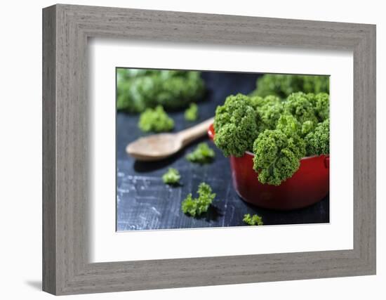 Fresh Kale in a Red Pot on a Dark Background-Jana Ihle-Framed Photographic Print