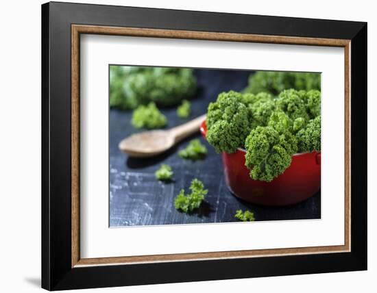 Fresh Kale in a Red Pot on a Dark Background-Jana Ihle-Framed Photographic Print