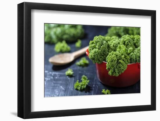 Fresh Kale in a Red Pot on a Dark Background-Jana Ihle-Framed Photographic Print