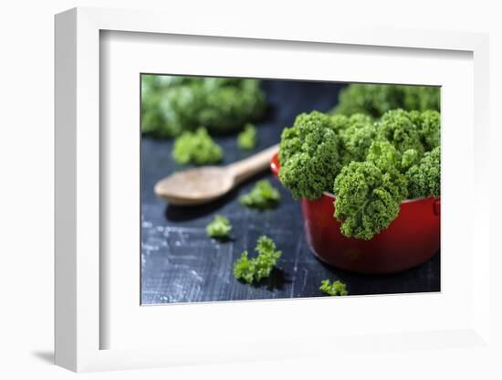 Fresh Kale in a Red Pot on a Dark Background-Jana Ihle-Framed Photographic Print