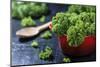 Fresh Kale in a Red Pot on a Dark Background-Jana Ihle-Mounted Photographic Print