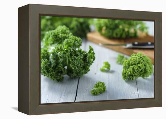 Fresh Kale on Gray Wooden Table-Jana Ihle-Framed Premier Image Canvas